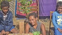 Single Mum Builds Own Shed To Shelter Her Two Children