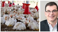 BiomEdit CEO: Next gen designer probiotics will disrupt the animal and human health market
