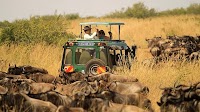 TZ’s tourism boom pays off