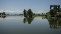 Srinagar lake dying for 30 yrs restored to revive old water channel | Latest News India - Hindustan Times