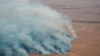 Wildfire in Namibia is contained, says PM, after criticism of response
