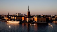 Swedish CMO Revenue Up 14.2% in 2023