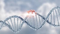 Non-viral gene therapy offers hope for chronic low back pain sufferers
