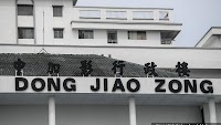 Dong Jiao Zong agrees with Anwar but remains firm on Jawi script congress