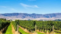 The World's Best New Zealand Wines