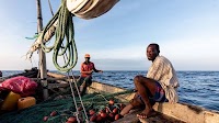 Tanzania slashes fish import tariffs to tackle domestic supply gaps