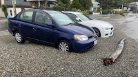 Wellington mops up but storm power cuts, travel chaos lingers