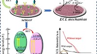 Ultrasensitive Detection of SARS-CoV-2 Nucleocapsid Protein Based on Porphyrin-Based Metal–Organic Gels with Highly Efficient Electrochemiluminescence at Low Potential