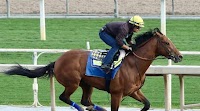TDN Derby Top 12: Long-Awaited Spring Thaw on Horizon