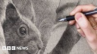 Hampshire artist draws British wildlife with a ballpoint pen