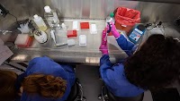 WSU’s Molecular Diagnostics Laboratory works to fill gaps in rural health care