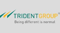 Trident Ltd. reports total income of Rs 1721 crore for Q2 FY25, strengthens its balance sheet by reduction in borrowings by Rs 440 crores