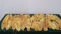 Customs uncovers HK$3.3 million haul of fish maw from endangered totoaba