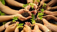 Young Pakistani Men Set Unique World Record Using 3,000+ Plant Saplings