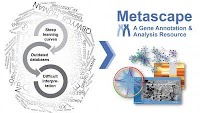Metascape Platform Released to Aid Seamless Interpretation of OMICs Big Data