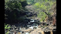 ‘Report on Mhadei by NIO will hurt Goa’