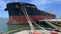 Bulk Carrier Owner Fined After Ignoring AMSA Safety Order
