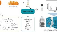 Miniaturized QuEChERS extraction (μQuEChERS) combined with HPLC-MS/MS as new analytical method for determination of 105 residues of pesticides in fruit by-products extracts