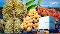 Thailand is now the world’s 13th largest exporter of agricultural products: minister