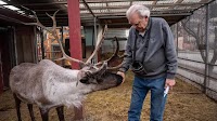 Someone stole and poisoned Anchorage’s iconic pet reindeer. But who? And why?