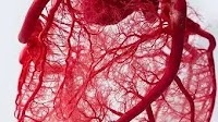 TMT has limited sensitivity to detect Coronary microvascular disease, finds study