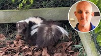 Stinky skunk on the run leaves behind bad smell for city wildlife rescuer