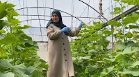 Palestinian Farmer Turns Pumpkin Patch into Eco-Farm and Women's Cooperative
