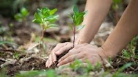 Corporate Social Responsibility in India: A Guide