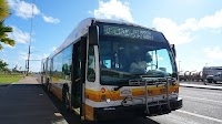 Honolulu's TheBus introduces new routes for Skyline expansion