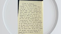 Savannah Bananas' Pittsburgh natives pen heartfelt thank you letter to their hometown
