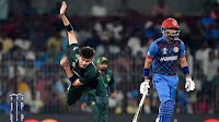 Pakistan and Afghanistan pen UAE T20 tri-series before Asia Cup