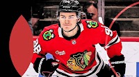 Chicago Blackhawks rank No. 2 in NHL Pipeline Rankings for 2025 - The Athletic