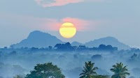 Sri Lanka: Sugar Prices Rise with Import Ban