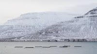 News - Iceland raises salmon farming levy by 46%