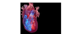 Elevating global heart failure care with new certification