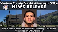 Gabriel Torres sentenced for attempted murder