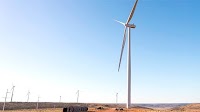 South Australia makes bid to host COP31 in 2026