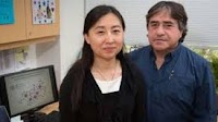 Fructose alters hundreds of brain genes, which can lead to a wide range of diseases
