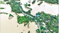 Impacts of flood on agriculture