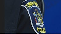 Man who stabbed woman and dog arrested by DeWitt Police