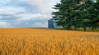 AgriNovus boss Mitch Frazier recounts a decade of change for Midwest agtech