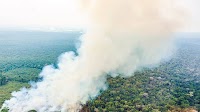 Federal Government releases over BRL 514 million to combat Amazon wildfires, drought
