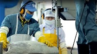 Dongwon posts profit increase in H1 2025 after strong Q2
