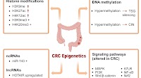 Potential epigenetic modifiers targeting the alteration of methylation in colorectal cancer