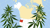 Breaking News: Delta-8-THC Banned in Oregon – New Rules Released by The OLCC