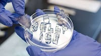 Scientists Made ‘Jelly Ice’ That Never Melts. It’s Edible, Compostable and Reusable