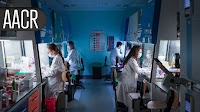 Topical Gel Soothes Skin Rash for CRC Patients on EGFR Inhibitors