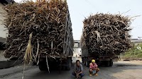 Thailand to lose $29 million from China's syrup import ban, industry group says