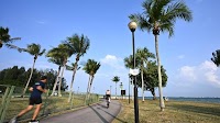 Cyclist to be charged over collision that left female jogger with head injury