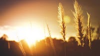 July 2025 among hottest in a decade, says JMD